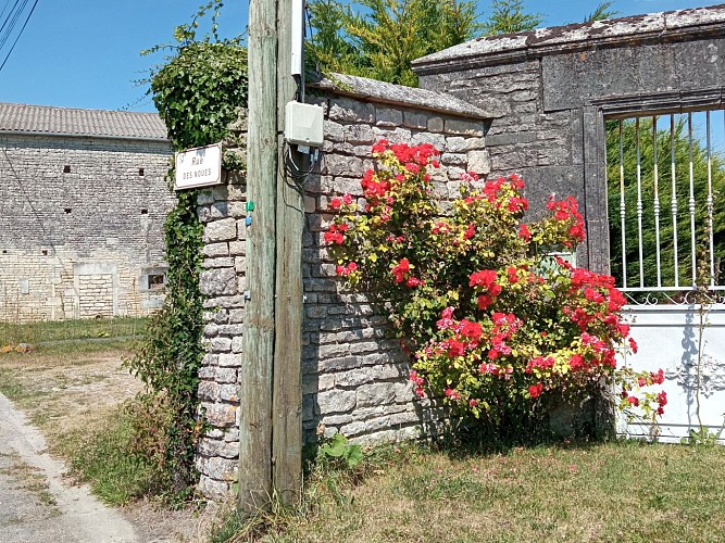 Circuit | Chemins en fins bois | Sigogne_Sigogne