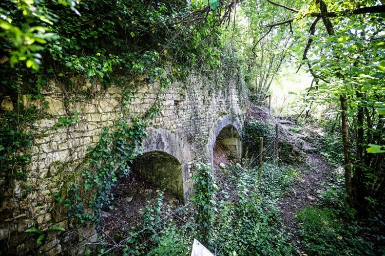 Circuit | Chemins en fins bois | Sigogne_Sigogne