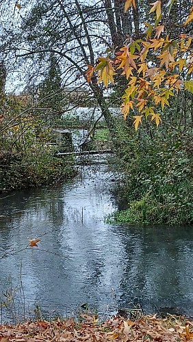 58 Mesves-sur-Loire 9.7 km (16/11/2025)