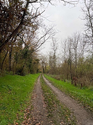 58 Mesves-sur-Loire 9.7 km (16/11/2025)