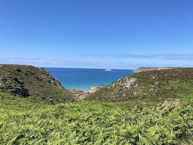 Des landes du cap Fréhel aux deux pointes