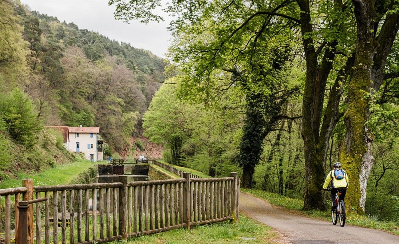 Boucle vélo Saverne, Vallée de Éclusiers et Rocher de Dabo