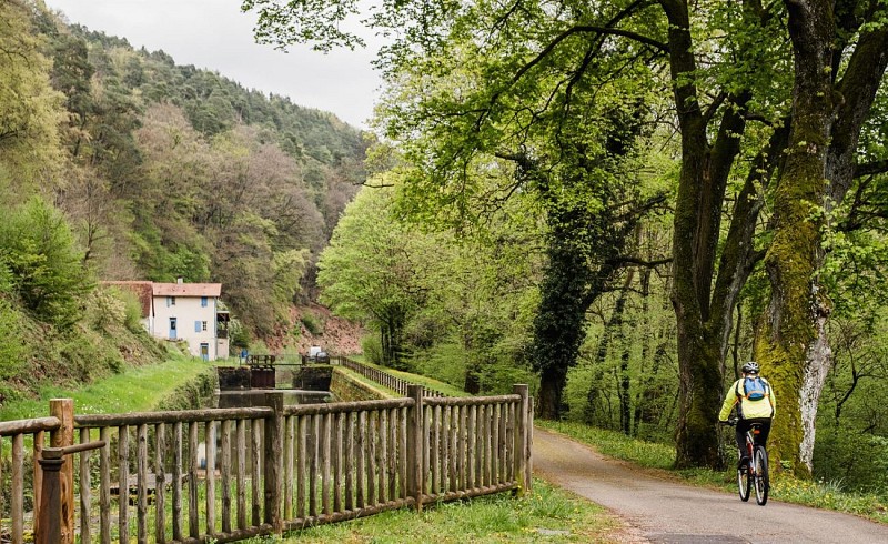 Boucle vélo Saverne, Vallée de Éclusiers et Rocher de Dabo