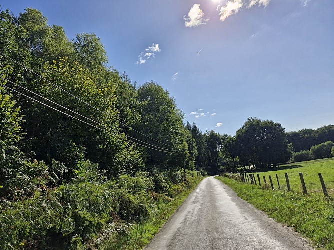 Forêt e Meilhards © JL OT TDC