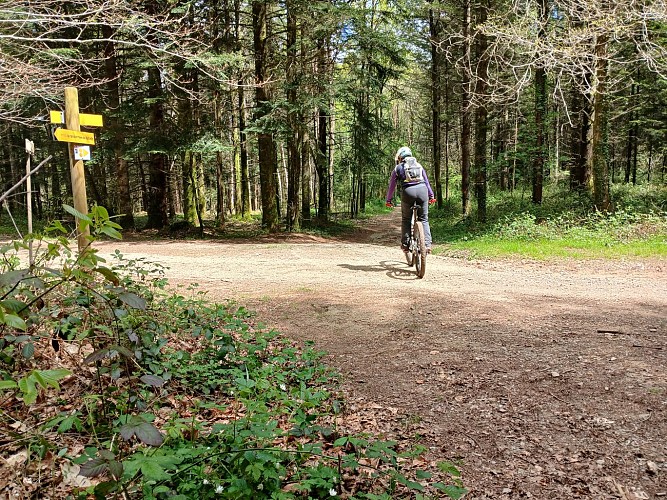 Présentation - Autour de la Grenerie n°8 - Masseret-Lamongerie