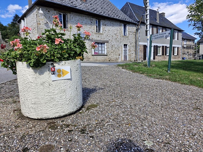 Meilhards - Forêt de Meilhards - Masseret-Lamongerie 