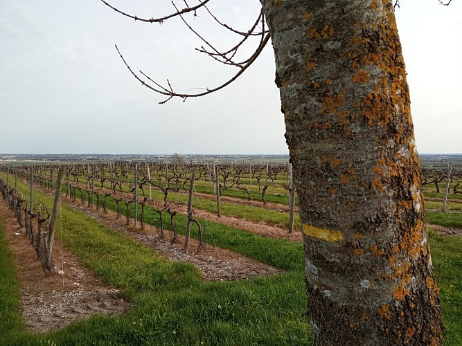 Circuit de la Garenne | Salles d'Angles