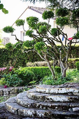 Circuit de la Garenne | Salles d'Angles