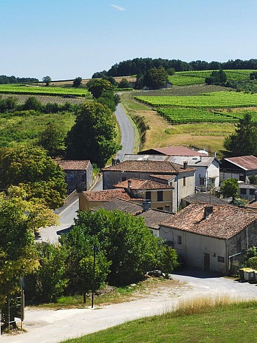 Circuit des vignes | Bouteville