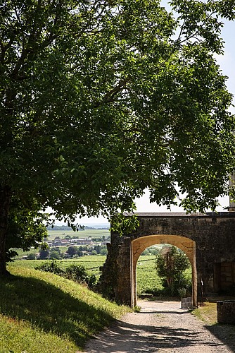 Circuit des vignes | Bouteville