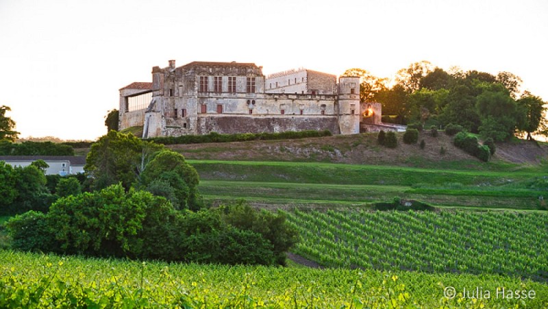 Circuit des vignes | Bouteville
