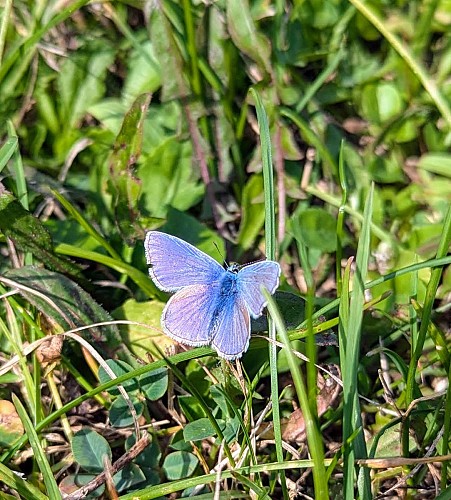 Circuit des vignes | Bouteville