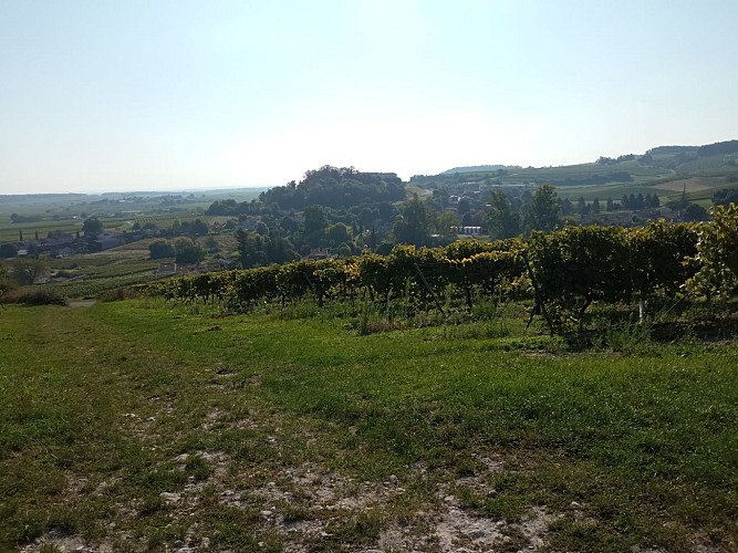 Circuit du Moulin | Bouteville_Bouteville