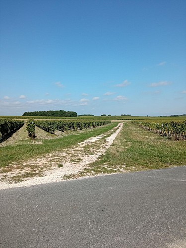 Circuit du Moulin | Bouteville