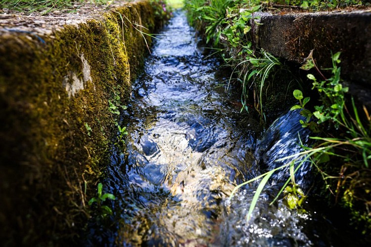 Circuit | Chemin des Vignes | Mosnac-St-Simeux