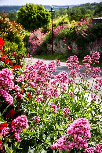 Circuit | Chemin des Vignes | Mosnac-St-Simeux