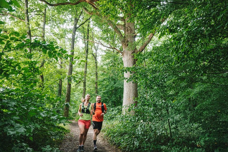Parcours Trail 1 - Base Trail des Yvelines_Saint-Rémy-lès-Chevreuse