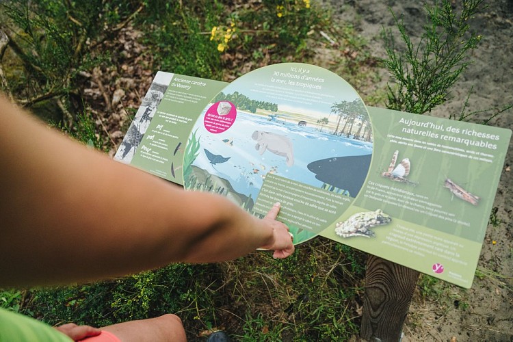 Parcours Trail 1 - Base Trail des Yvelines_Saint-Rémy-lès-Chevreuse