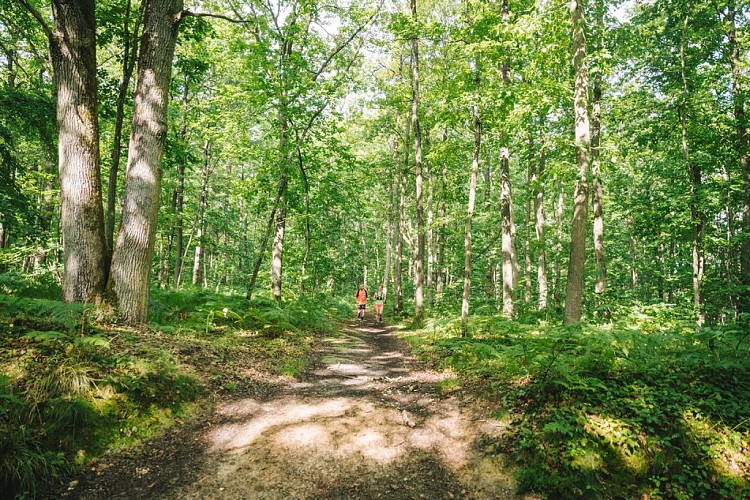 Parcours Trail 2 - Base Trail des Yvelines_Saint-Rémy-lès-Chevreuse