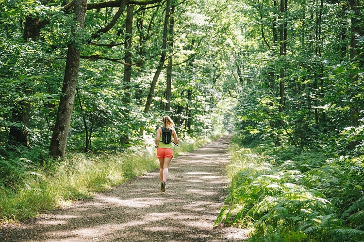 Parcours Trail 3 - Base Trail des Yvelines_Saint-Rémy-lès-Chevreuse