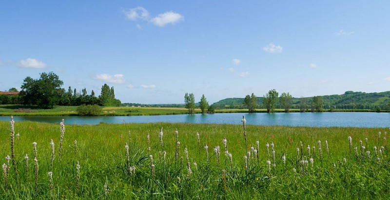 Ponsampère : le circuit de Laredaou (AAG PR7)_Ponsampère