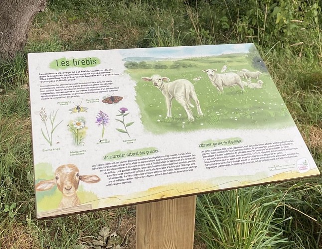 Labéjan : le sentier des coteaux_Labéjan