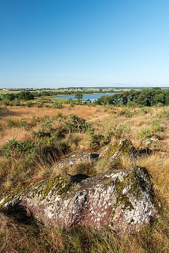 2019-E.Berthier-Careil-Iffendic 23-14
