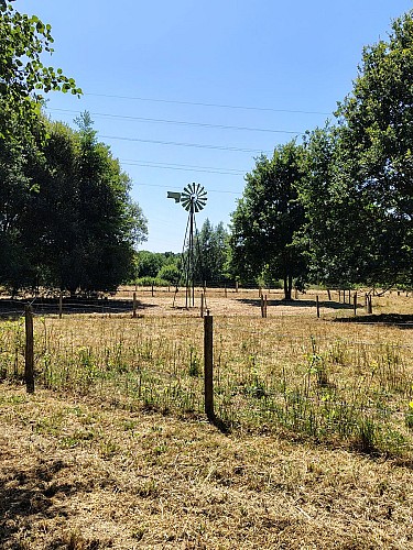 IMG_20250624_153714706_HDR