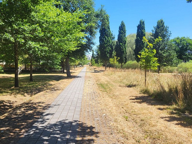 PHOTO-2025-07-08-13-04-13