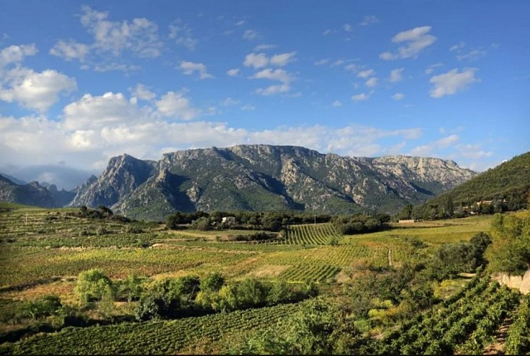 Circuit Mons VTT 1 Le Verdier