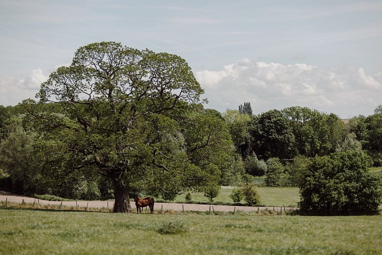 Horrues et ses sentiers : Un lieu chargé d'histoire