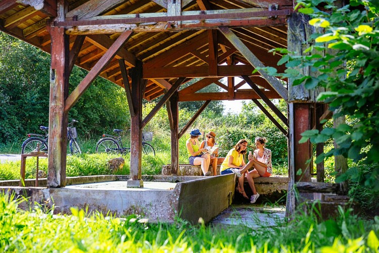 velo-route-langon-gironde-agence-les-conteurs-20