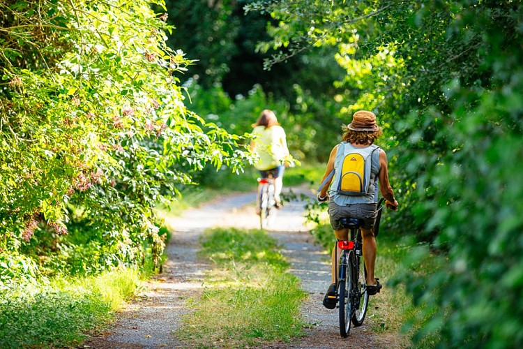 velo-route-langon-gironde-agence-les-conteurs-9