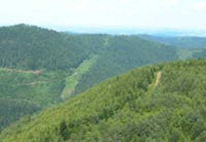 Circuit pédestre - Tour des Jumeaux