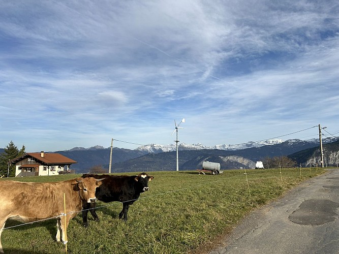 MTB-Runde - Mont-Saxonnex