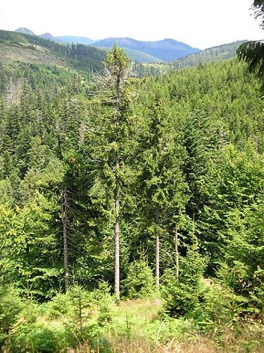 WANDERTOUR LES FONTAINES