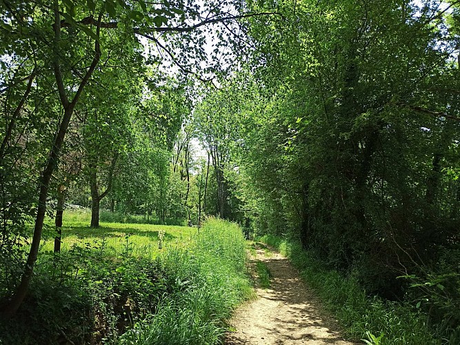 Circuit des Brosses au château des Allymes