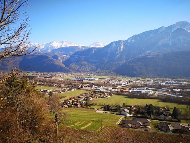 Les terrasses d'Ayse