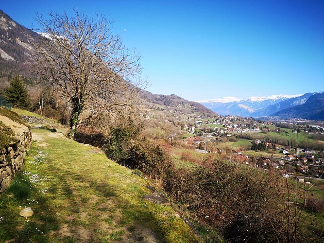 Les terrasses d'Ayse