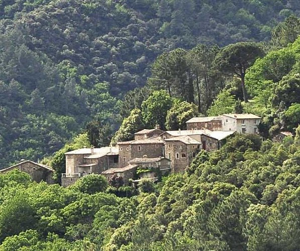 Mialet (Mas Soubeyran) - Saint Jean du Gard