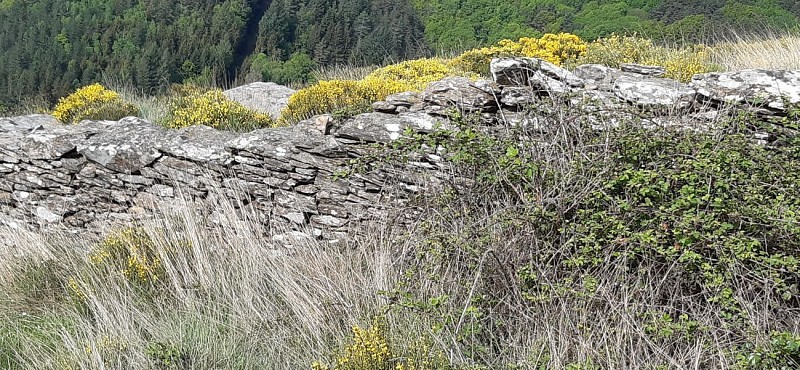 Barre des Cévennes – Cassagnas