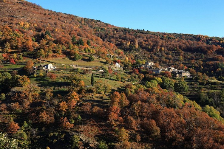 Saint Jean du Gard - Saint Germain de Calberte