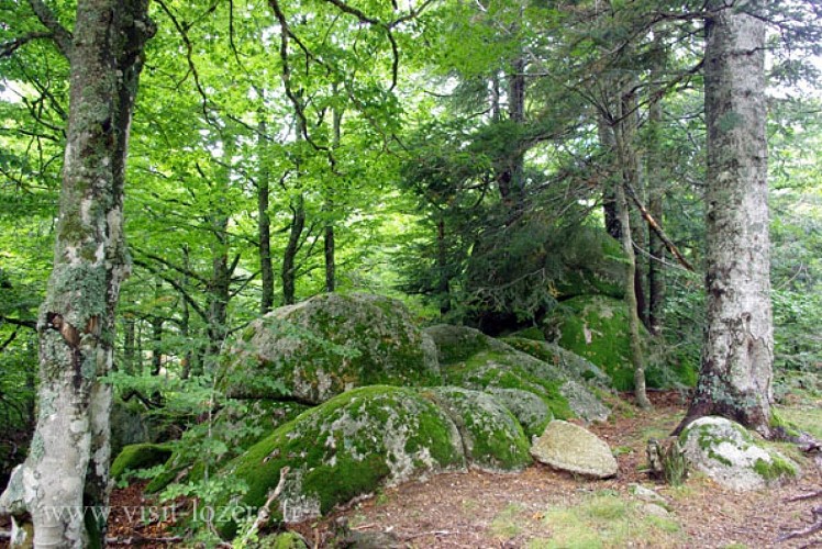 Le Pont de Montvert – Le Mas de la Barque