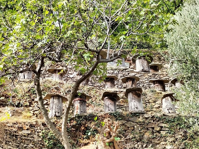 Génolhac – Malbosc