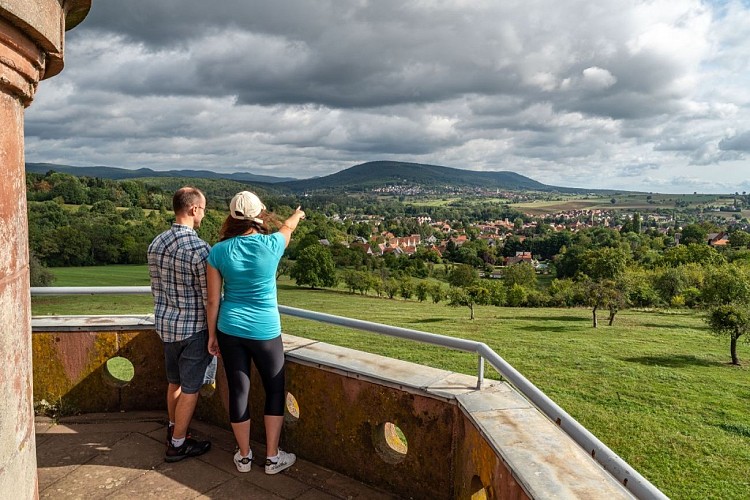 Vue panoramique sur le champ de bataille 1870 d'Elsasshausen