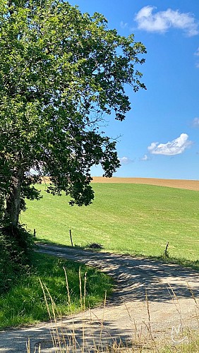 Saint-Michel : Le chemin de la Chapelle Saint-Jaymes (AAG PR3)_Saint-Michel