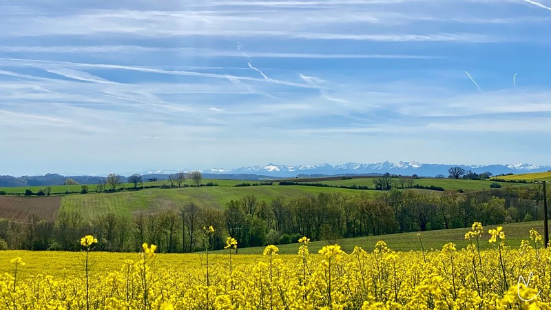 Saint-Michel : Le chemin de la Chapelle Saint-Jaymes (AAG PR3)_Saint-Michel