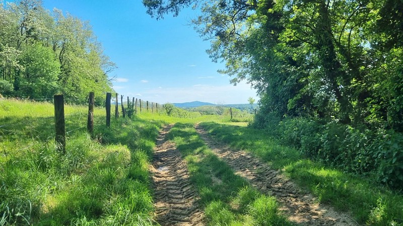 Circuit VTT n°12 (rouge) - Cavets, Villages revermontois_Val-Revermont