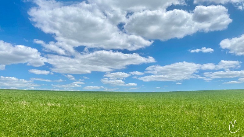 Belloc-Saint-Clamens : d'une Baïse à l'autre (AAG PR6)_Belloc-Saint-Clamens