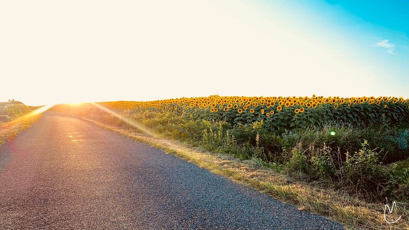 Belloc-Saint-Clamens : d'une Baïse à l'autre (AAG PR6)_Belloc-Saint-Clamens
